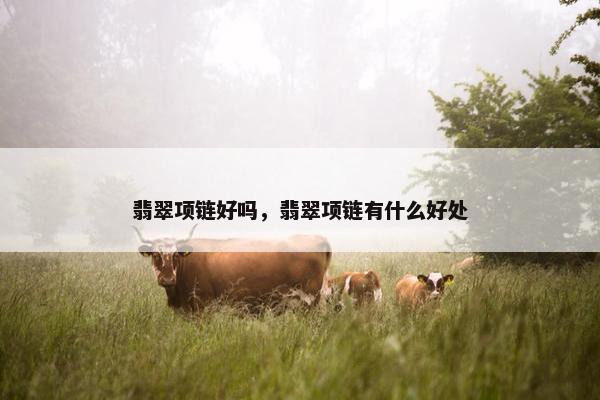 翡翠项链好吗，翡翠项链有什么好处