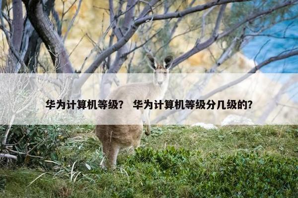 华为计算机等级？ 华为计算机等级分几级的？