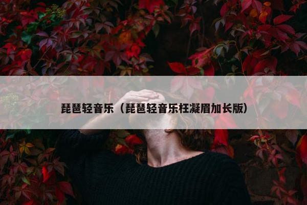 琵琶轻音乐（琵琶轻音乐枉凝眉加长版）