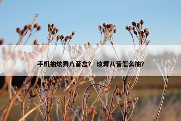 手机抽炫舞八音盒？ 炫舞八音怎么抽？