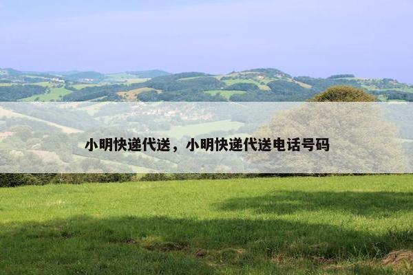 小明快递代送，小明快递代送电话号码
