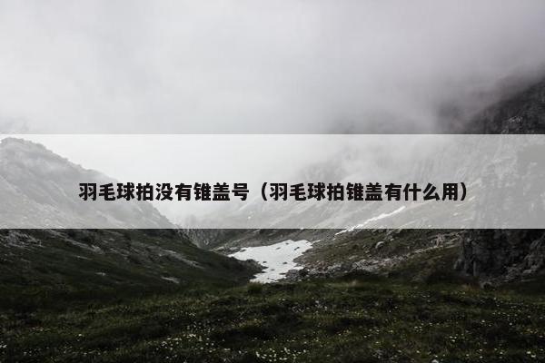 羽毛球拍没有锥盖号（羽毛球拍锥盖有什么用）