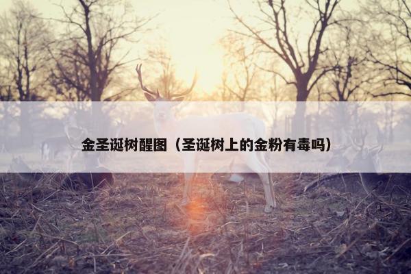 金圣诞树醒图（圣诞树上的金粉有毒吗）