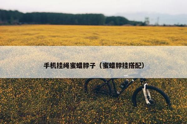 手机挂绳蜜蜡脖子（蜜蜡脖挂搭配）
