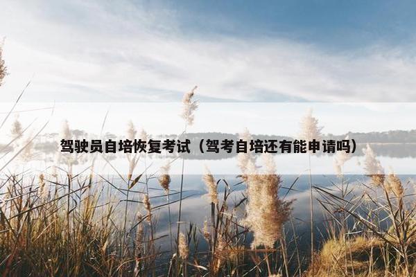 驾驶员自培恢复考试（驾考自培还有能申请吗）