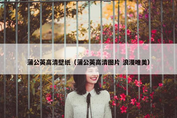 蒲公英高清壁纸（蒲公英高清图片 浪漫唯美）