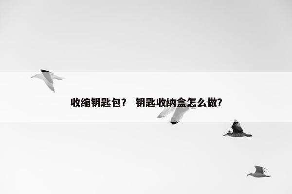 收缩钥匙包？ 钥匙收纳盒怎么做？