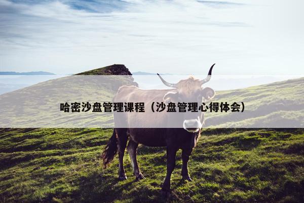 哈密沙盘管理课程（沙盘管理心得体会）