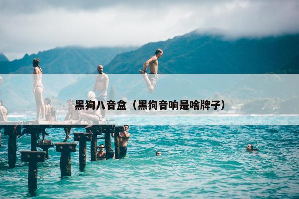 黑狗八音盒（黑狗音响是啥牌子）