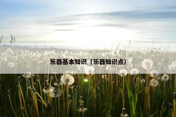 乐器基本知识（乐器知识点）