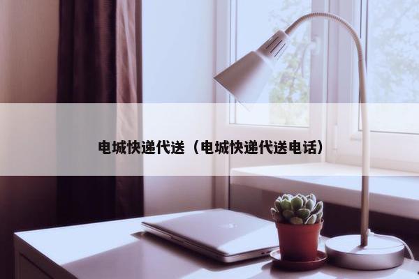 电城快递代送（电城快递代送电话）