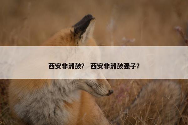 西安非洲鼓？ 西安非洲鼓强子？