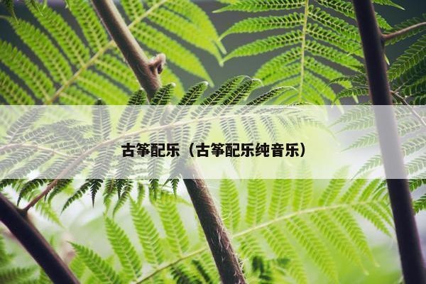 古筝配乐（古筝配乐纯音乐）