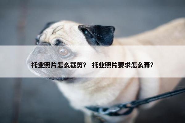托业照片怎么裁剪？ 托业照片要求怎么弄？