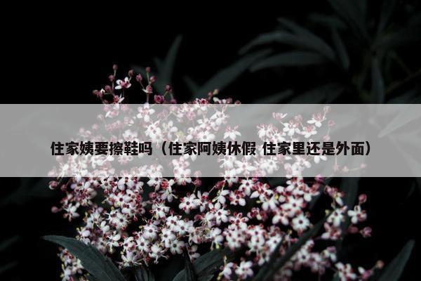 住家姨要擦鞋吗（住家阿姨休假 住家里还是外面）
