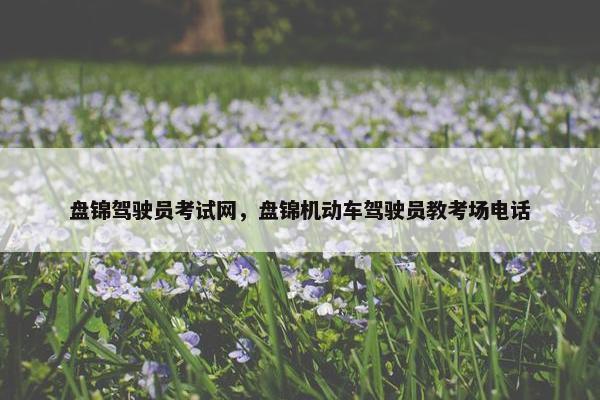 盘锦驾驶员考试网，盘锦机动车驾驶员教考场电话