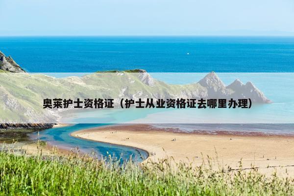 奥莱护士资格证（护士从业资格证去哪里办理）