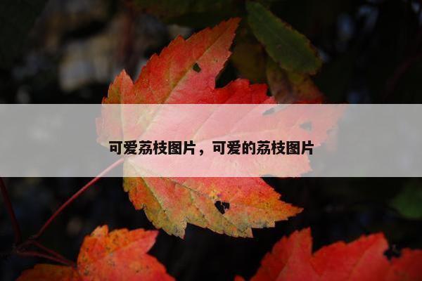 可爱荔枝图片，可爱的荔枝图片