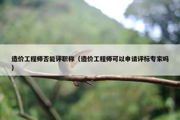造价工程师否能评职称（造价工程师可以申请评标专家吗）