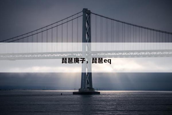 琵琶庚子，琵琶eq