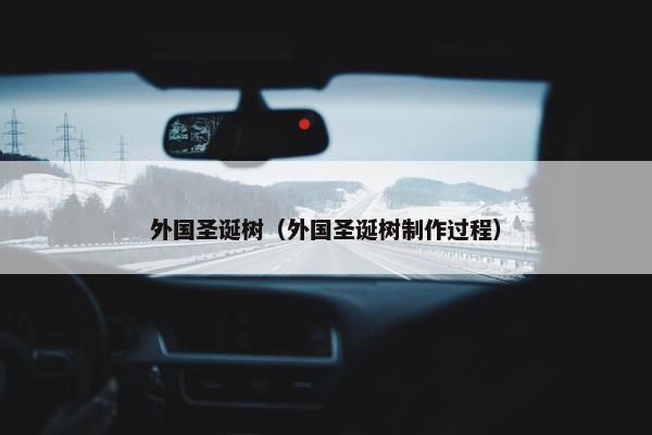 外国圣诞树（外国圣诞树制作过程）