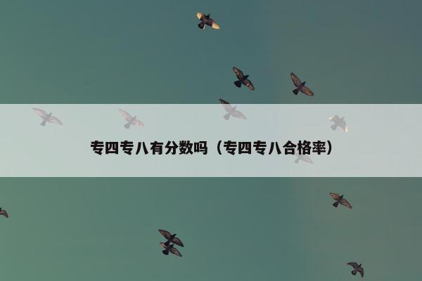 专四专八有分数吗（专四专八合格率）