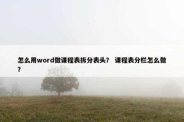 怎么用word做课程表拆分表头？ 课程表分栏怎么做？