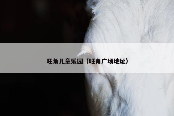 旺角儿童乐园（旺角广场地址）
