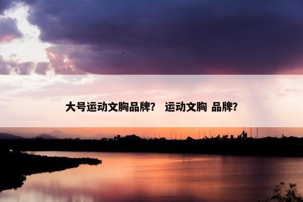 大号运动文胸品牌？ 运动文胸 品牌？