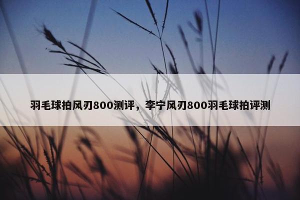 羽毛球拍风刃800测评，李宁风刃800羽毛球拍评测