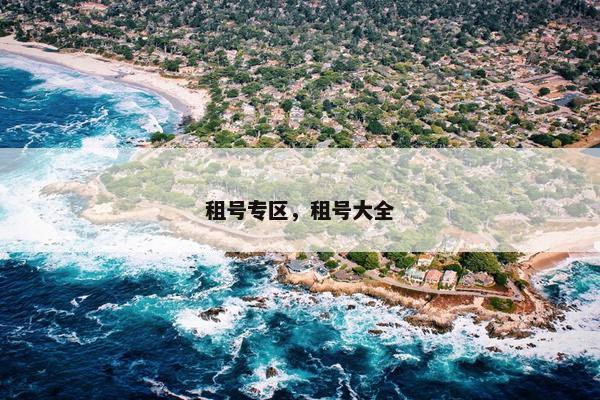 租号专区，租号大全