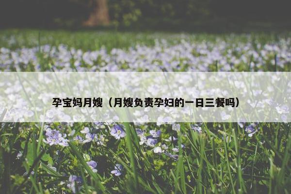 孕宝妈月嫂（月嫂负责孕妇的一日三餐吗）
