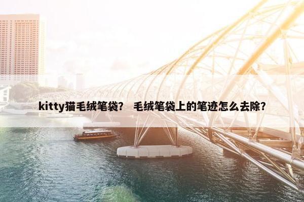kitty猫毛绒笔袋？ 毛绒笔袋上的笔迹怎么去除？