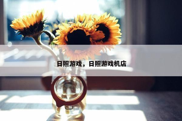 日照游戏，日照游戏机店