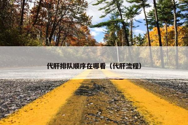 代肝排队顺序在哪看（代肝流程）