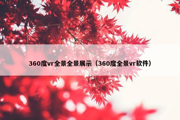 360度vr全景全景展示（360度全景vr软件）