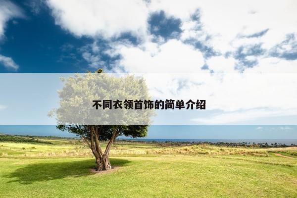 不同衣领首饰的简单介绍