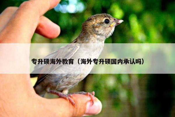 专升硕海外教育（海外专升硕国内承认吗）