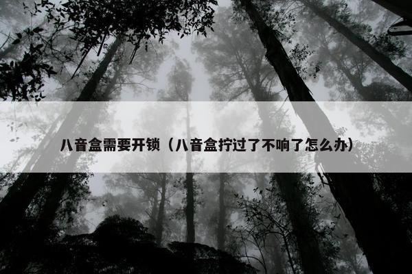 八音盒需要开锁（八音盒拧过了不响了怎么办）