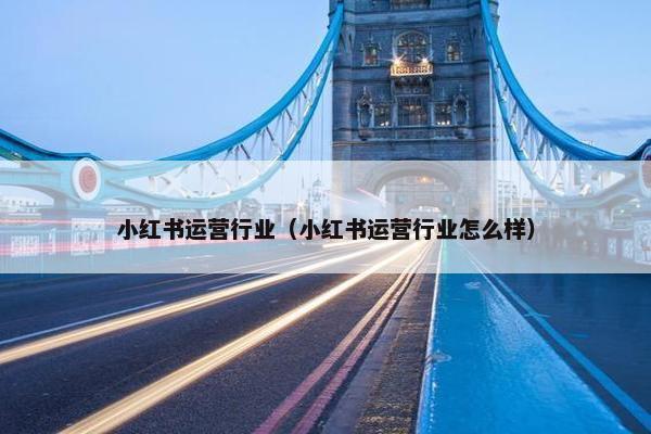 小红书运营行业（小红书运营行业怎么样）