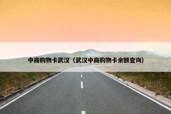 中商购物卡武汉（武汉中商购物卡余额查询）