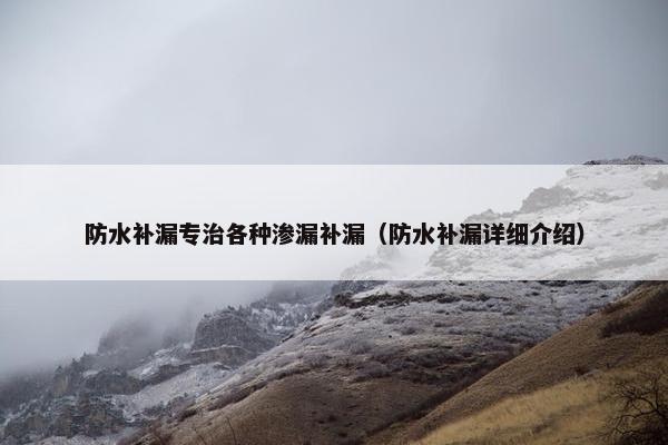 防水补漏专治各种渗漏补漏（防水补漏详细介绍）