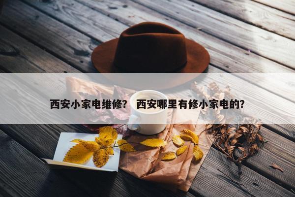 西安小家电维修？ 西安哪里有修小家电的？