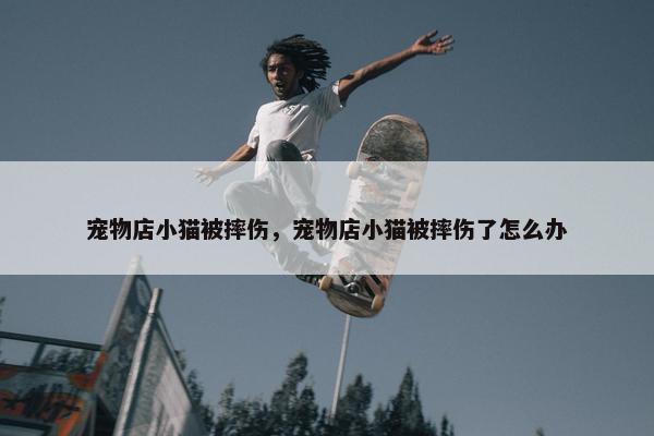 宠物店小猫被摔伤，宠物店小猫被摔伤了怎么办