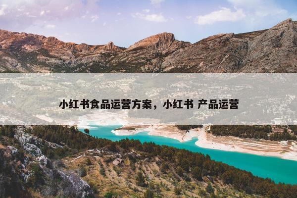 小红书食品运营方案，小红书 产品运营