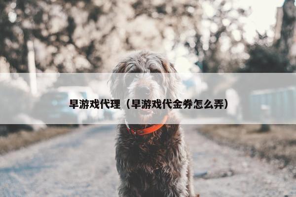 早游戏代理（早游戏代金券怎么弄）