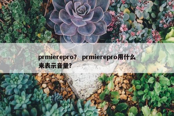 prmierepro？ prmierepro用什么来表示音量？