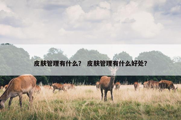 皮肤管理有什么？ 皮肤管理有什么好处？