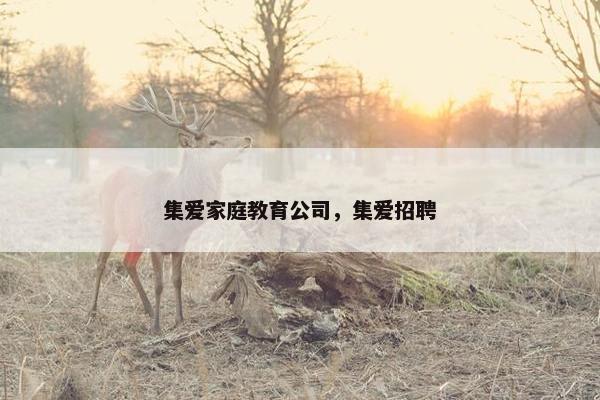 集爱家庭教育公司，集爱招聘