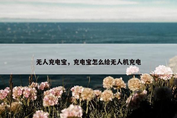 无人充电宝，充电宝怎么给无人机充电